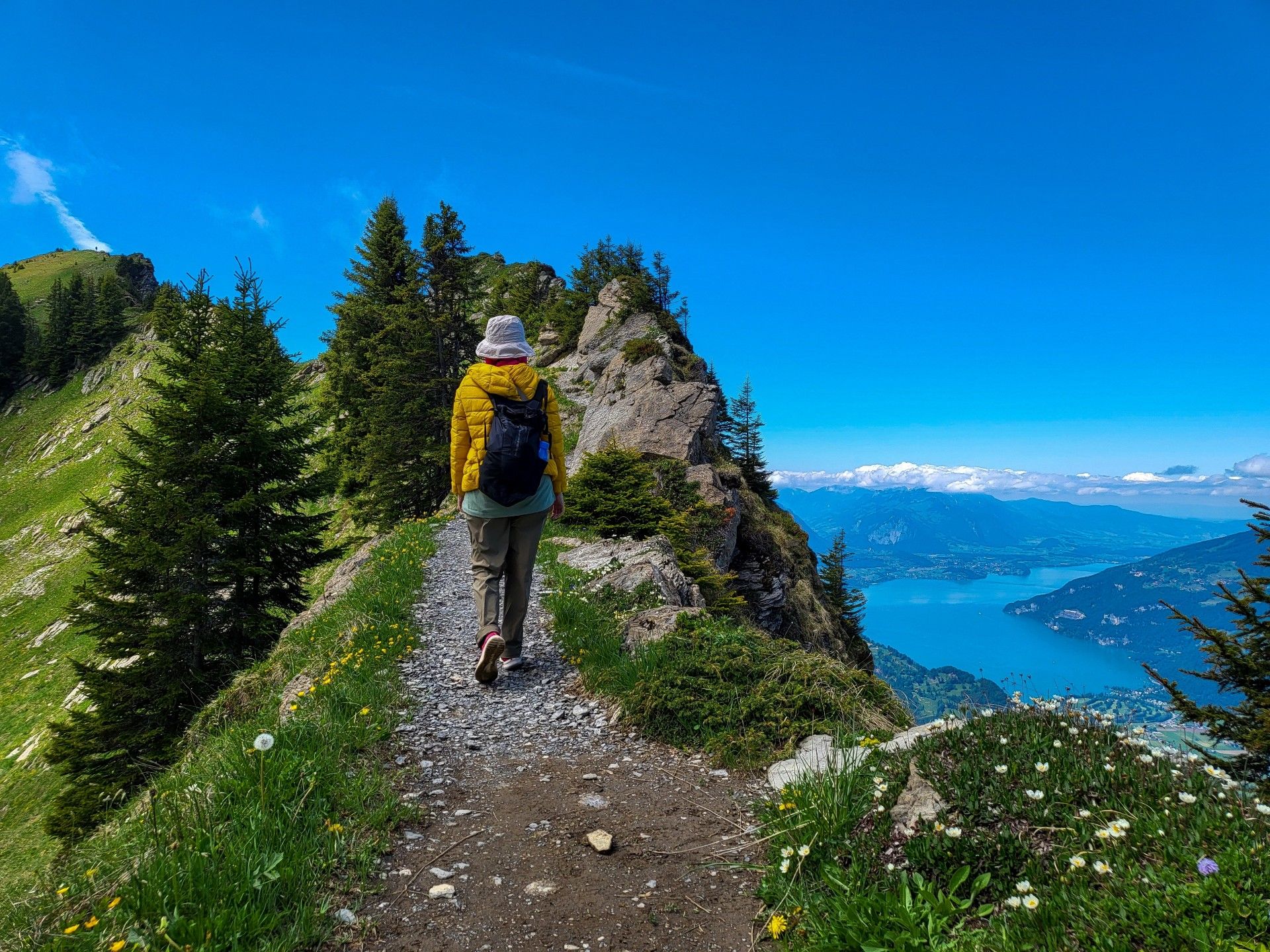 Hiking in panorama trail in Schynige Platte, a mountain ridge in Bernese Oberland - supplied by Grand Angle.jpg